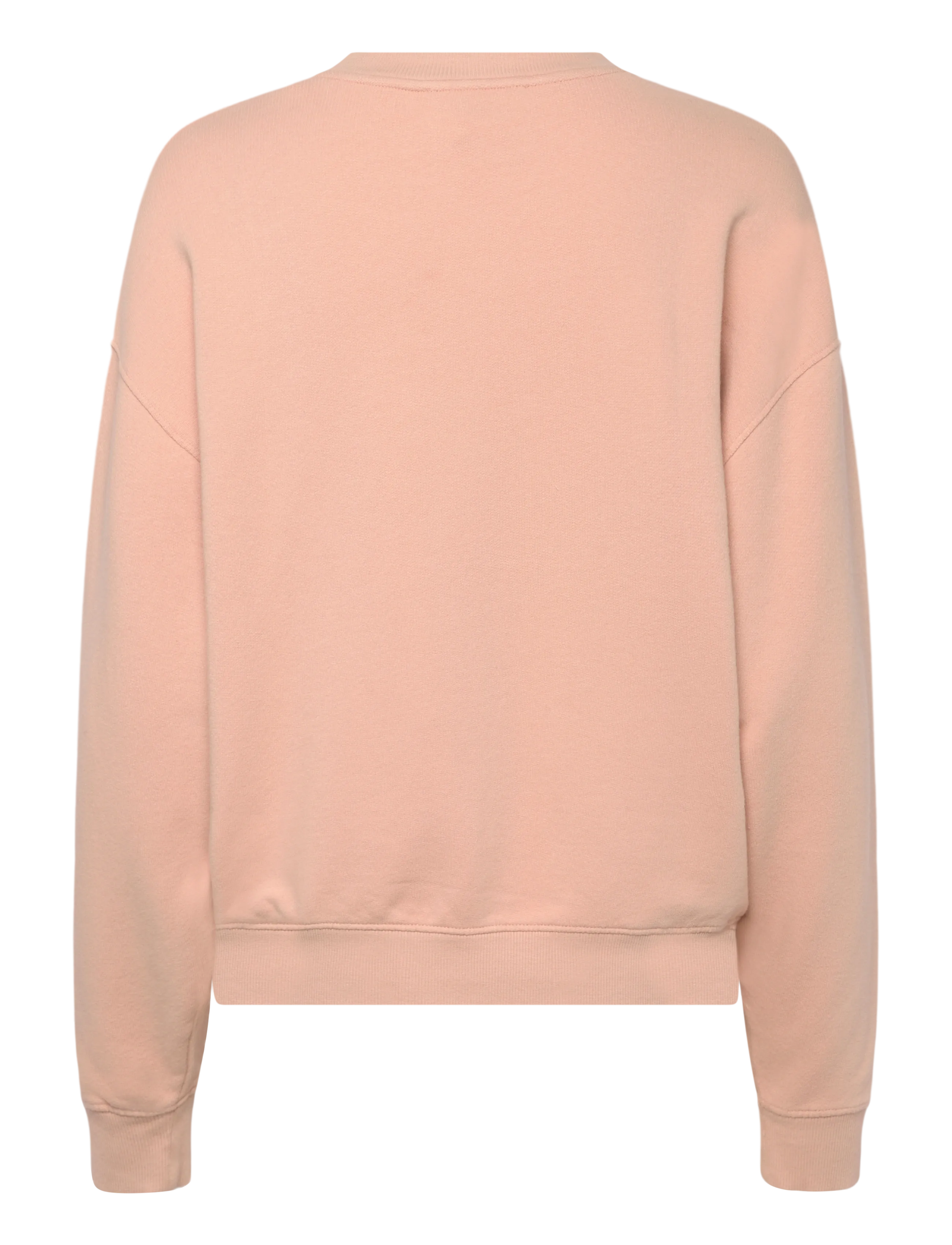 ba&sh - SWEATSHIRT BENJAMIN - sweatshirts & hættetrøjer - poudre - 2