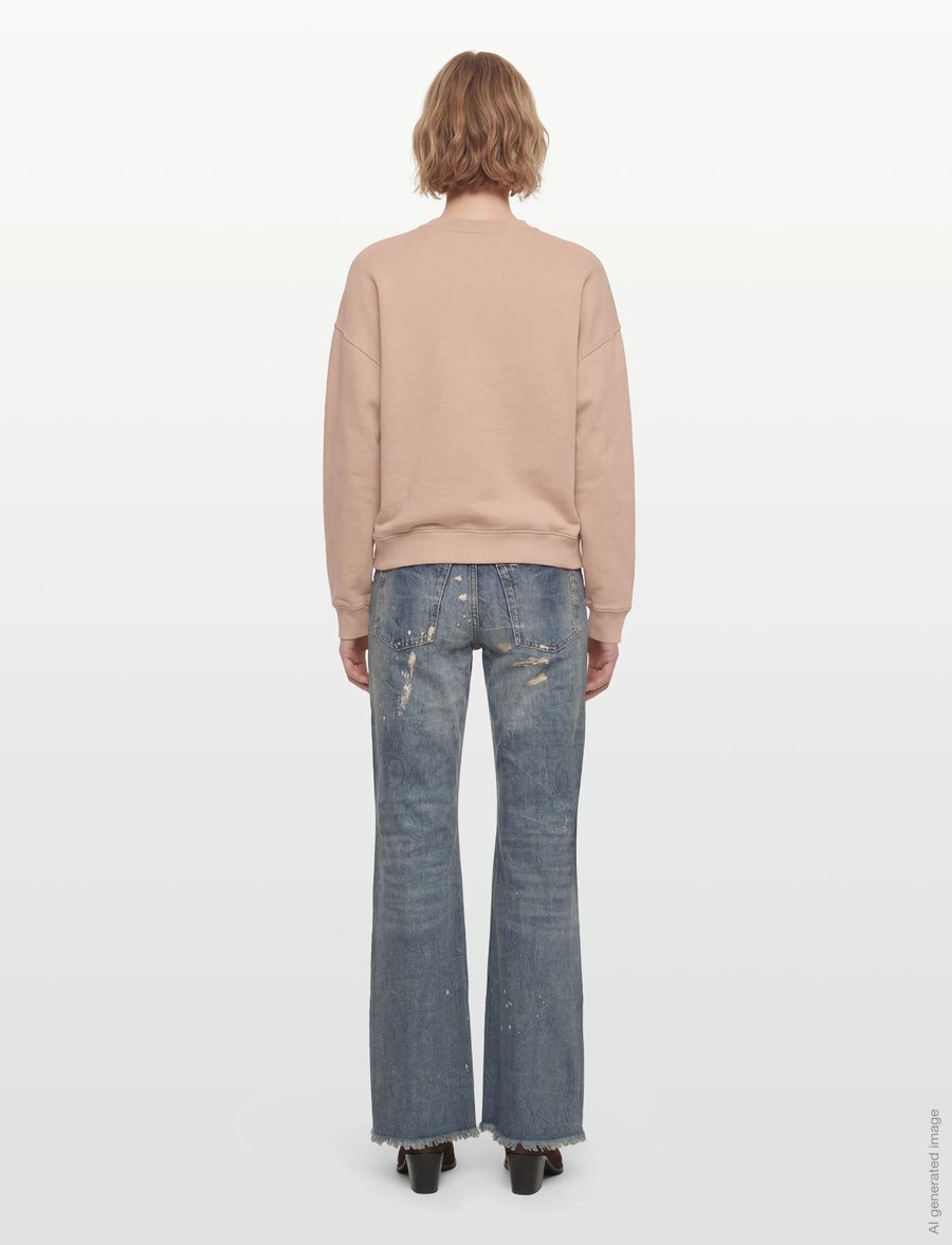ba&sh - SWEATSHIRT BENJAMIN - sweatshirts & hættetrøjer - poudre - 4
