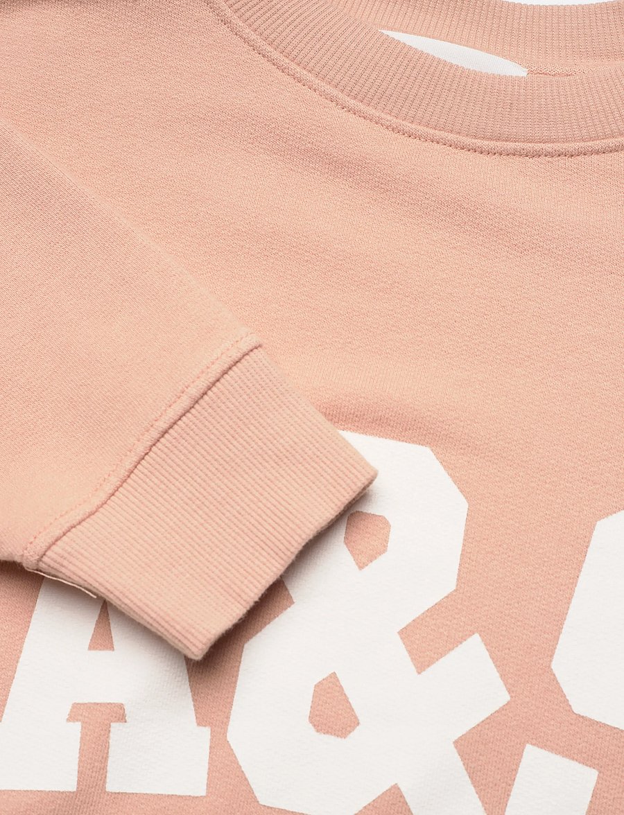 ba&sh - SWEATSHIRT BENJAMIN - sweatshirts & hættetrøjer - poudre - 5