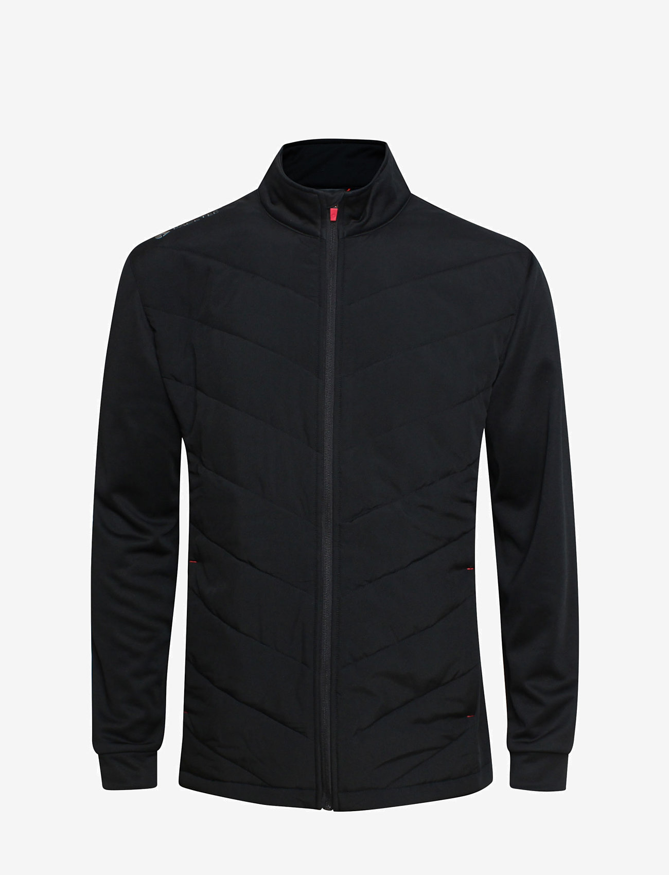 BACKTEE - Mens Hybrid Jacket - golfjakker - black - 1