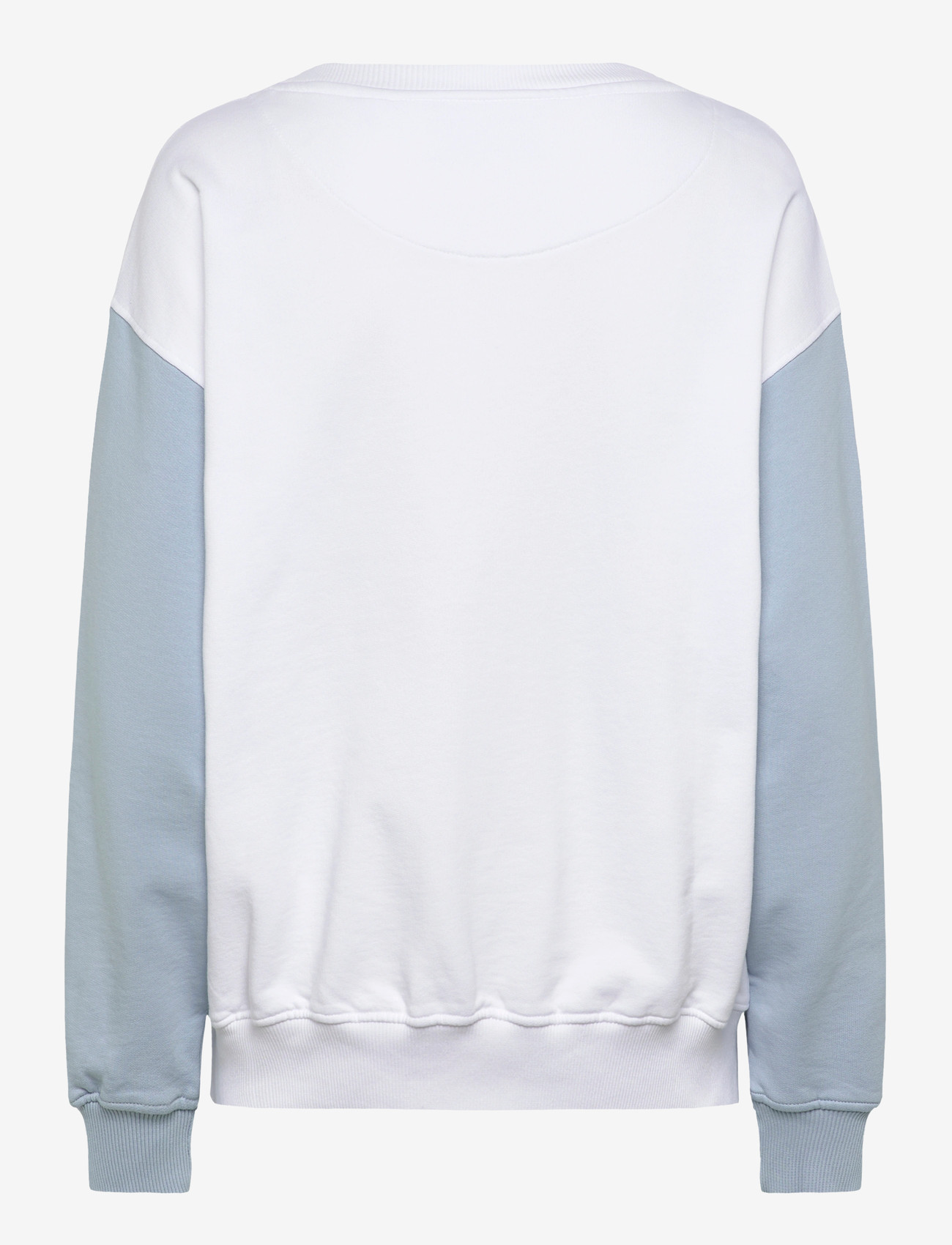 BALL - BAAURORA SWEATSHIRT - kapuutsiga dressipluusid - chambray blue - 2
