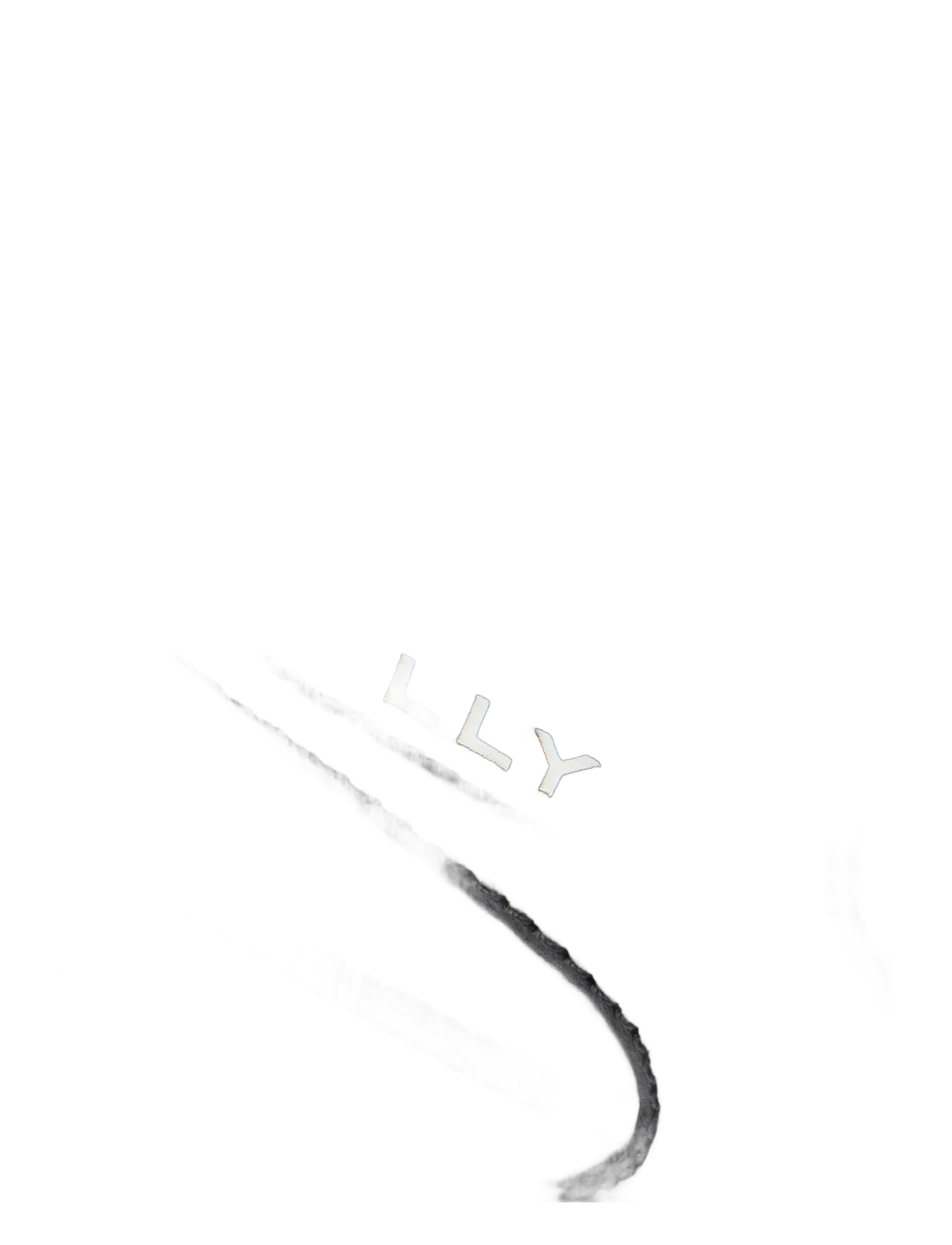 Bally - RUDYS - black - 5