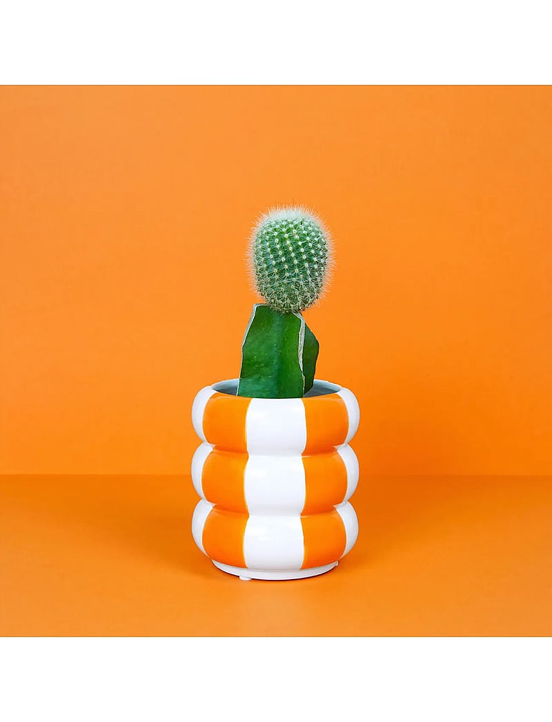 Balvi - Ceramic plant pot Floats - osta hinna alusel - orange/ white - 5