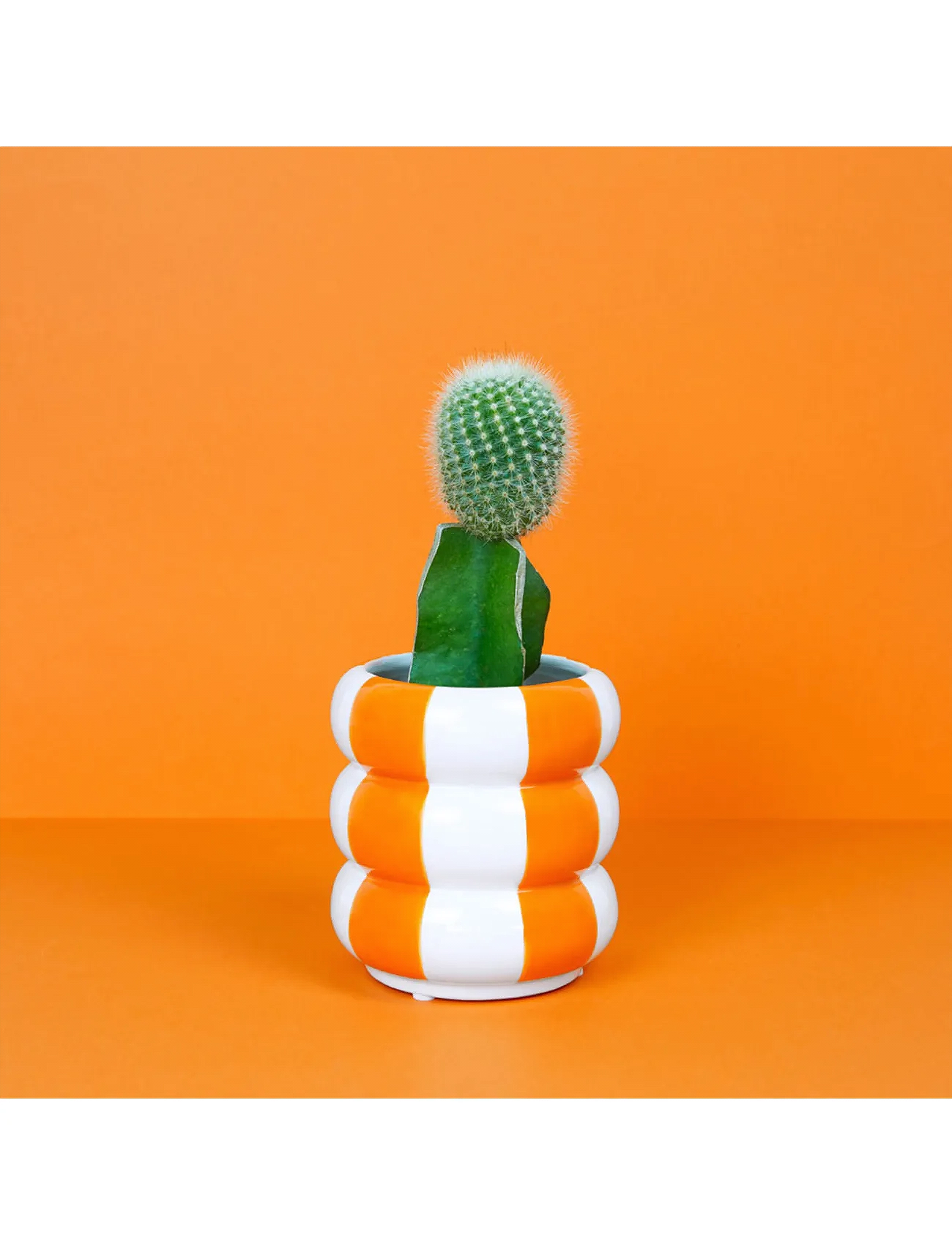 Balvi - Keraaminen kukkaruukku kelluu, oranssi, 12 cm - ruukut - orange/ white - 5