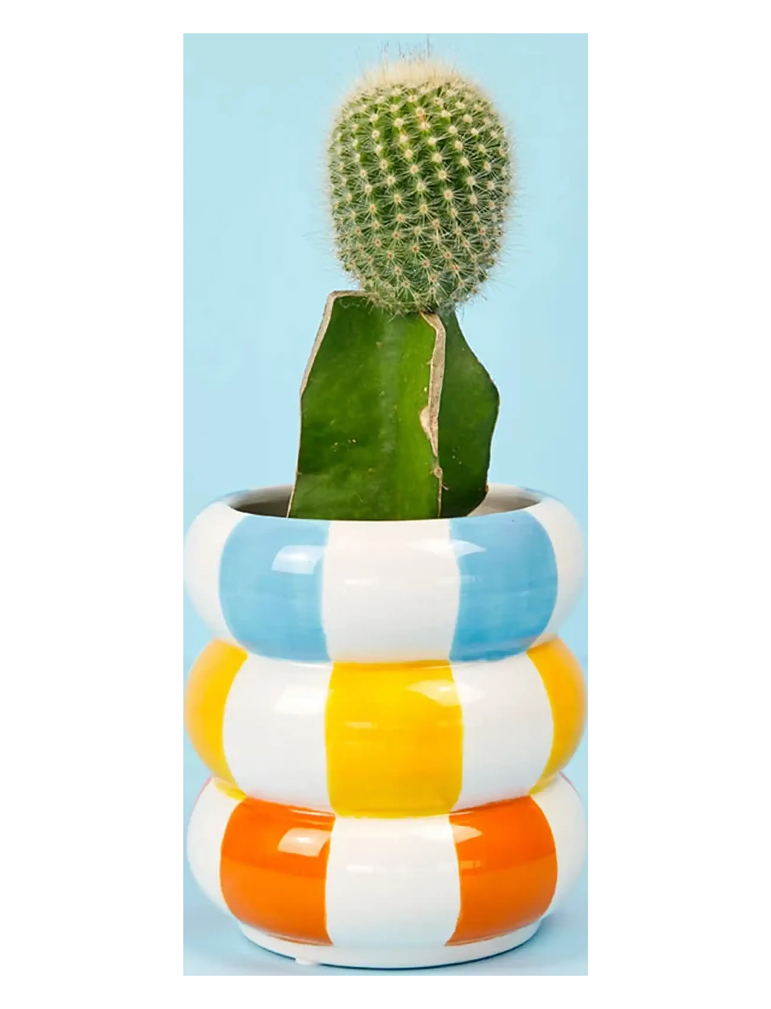Balvi - Blomkruka i keramik Floats, flerfärgad 12 cm - krukor - multicolored - 1