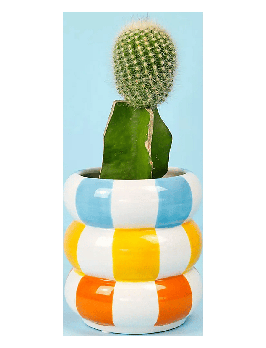 Balvi - Ceramic plant pot Floats - madalaimad hinnad - multicolored - 1