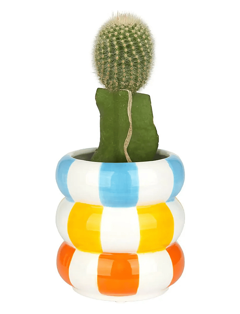 Balvi - Ceramic plant pot Floats - lillepotid - multicolored - 5
