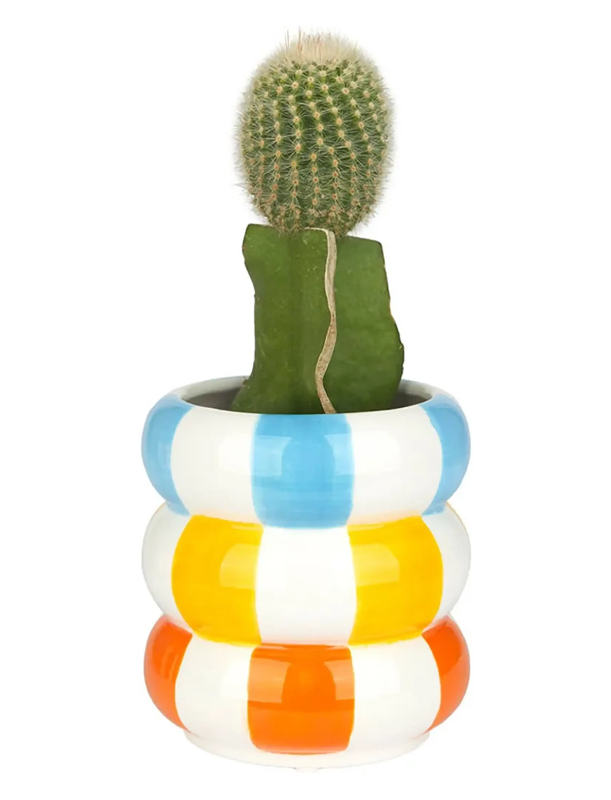 Balvi - Blomkruka i keramik Floats, flerfärgad 12 cm - krukor - multicolored - 5