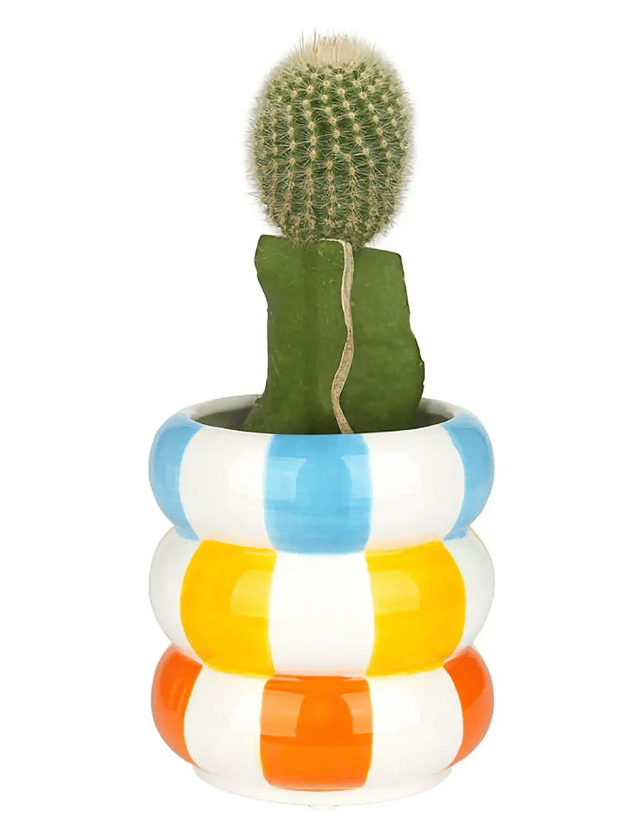 Balvi - Ceramic plant pot Floats - madalaimad hinnad - multicolored - 5