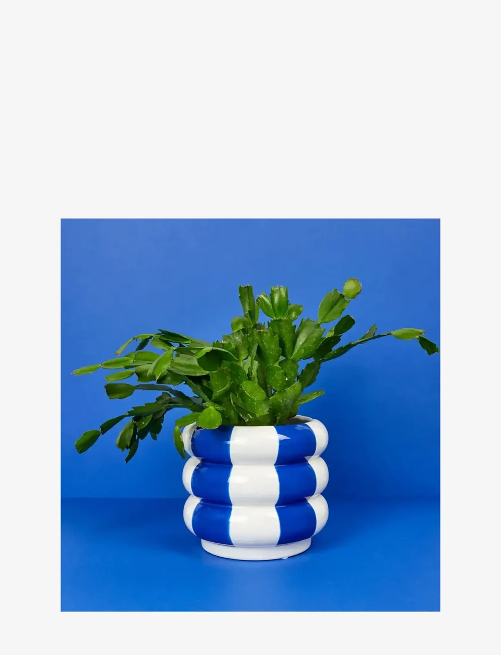 Balvi - Ceramic plant pot Floats - plant pots - blue/ white - 1