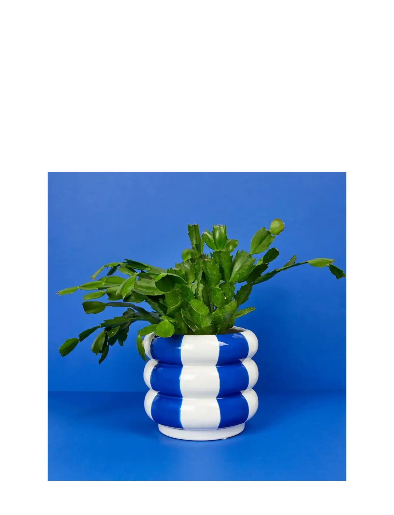 Balvi - Ceramic plant pot Floats - pots de fleurs - blue/ white - 1