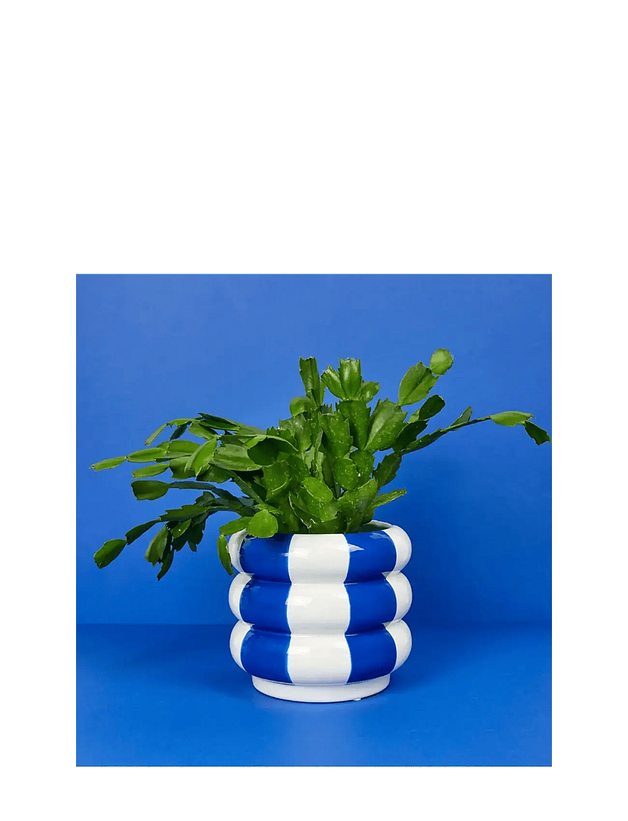 Balvi - Ceramic plant pot Floats - blumentöpfe - blue/ white - 1