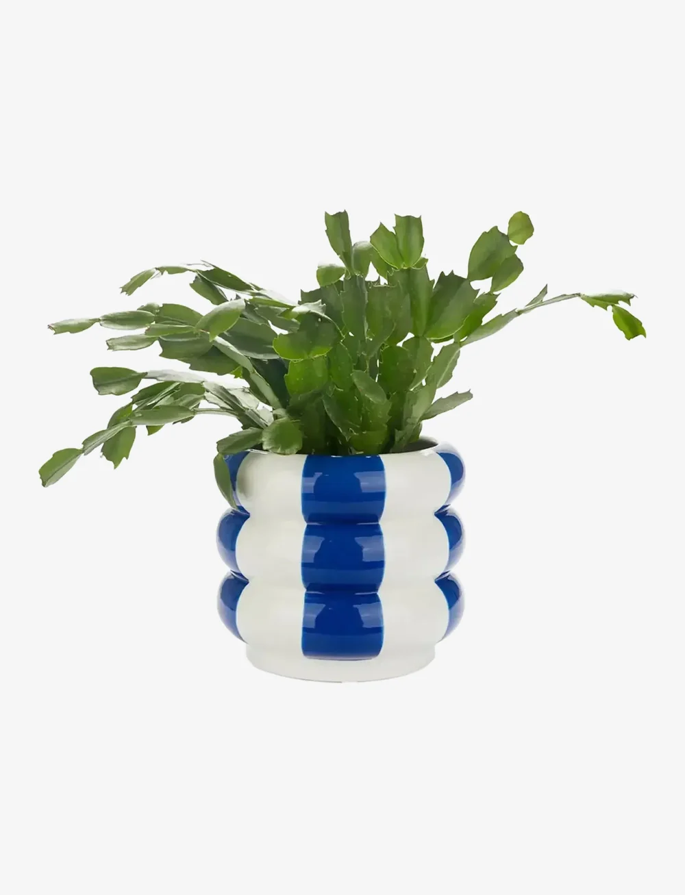 Balvi - Ceramic plant pot Floats - plant pots - blue/ white - 2