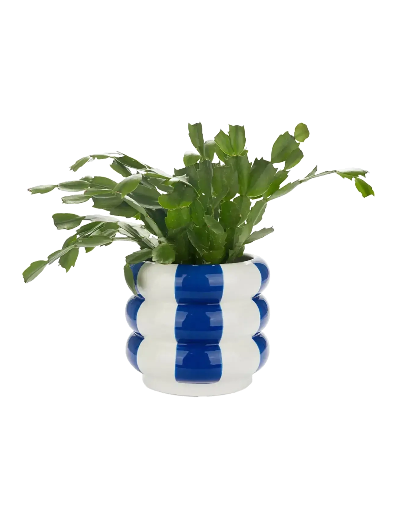 Balvi - Ceramic plant pot Floats - pots de fleurs - blue/ white - 2