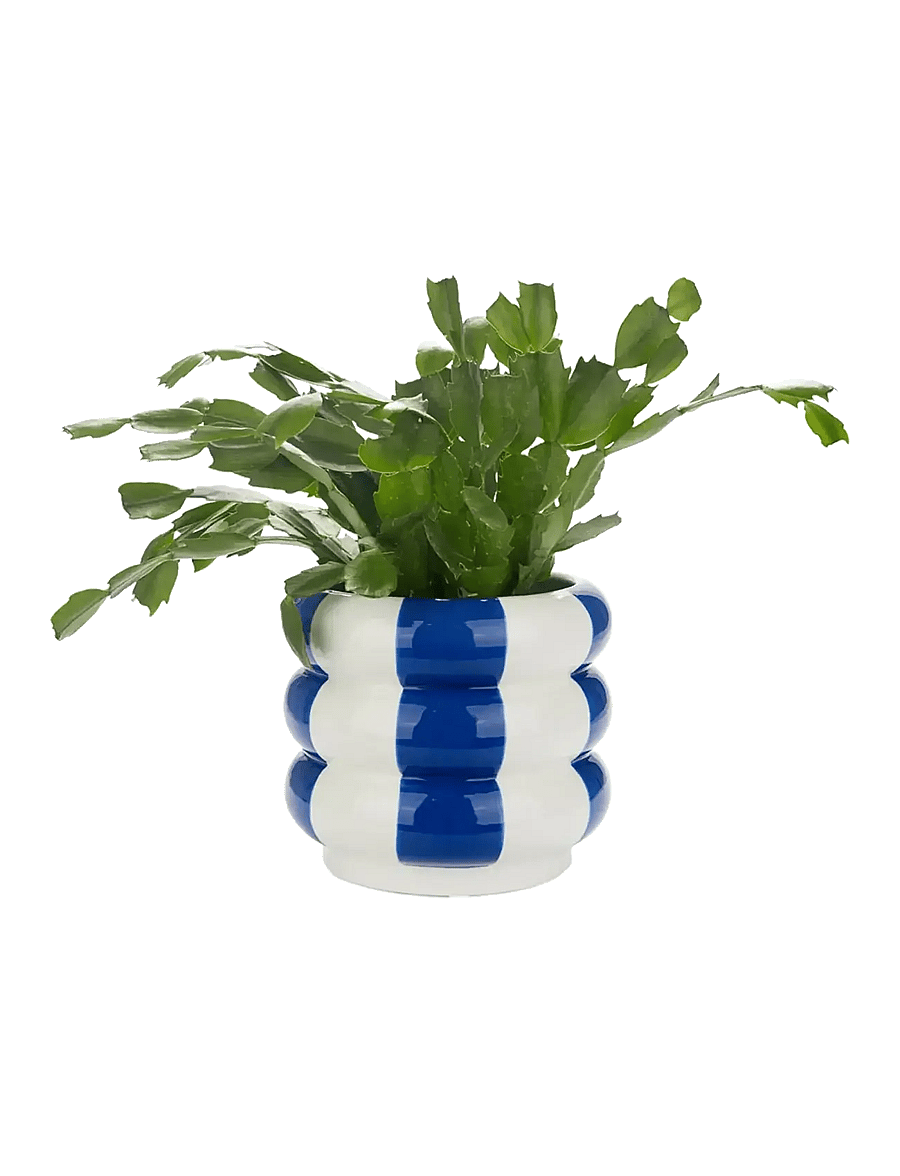 Balvi - Ceramic plant pot Floats - blumentöpfe - blue/ white - 2