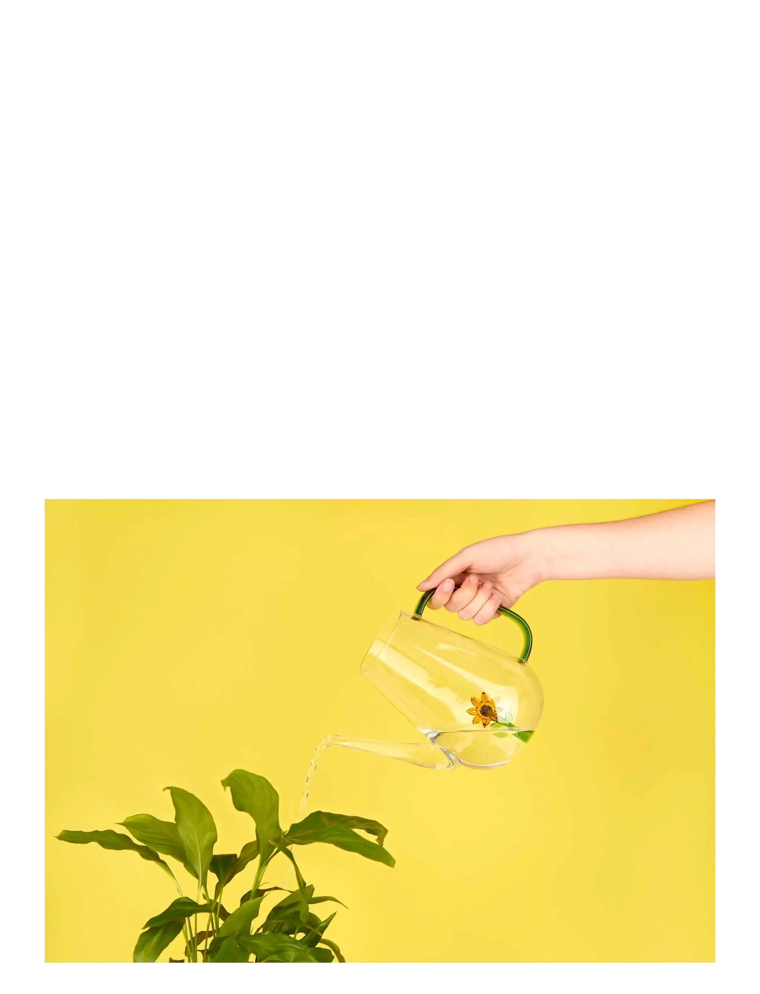Balvi - Vattenkanna Botanical, Solros 1,0l - clear - 2