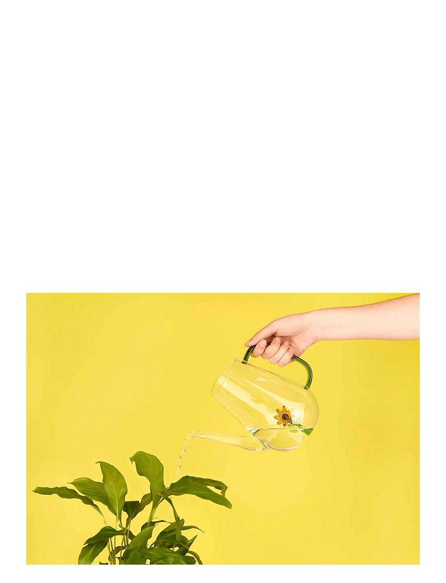 Balvi - Vattenkanna Botanical, Solros 1,0l - clear - 2