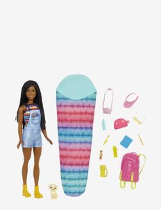 Dreamhouse Adventures Doll and Accessories, Barbie