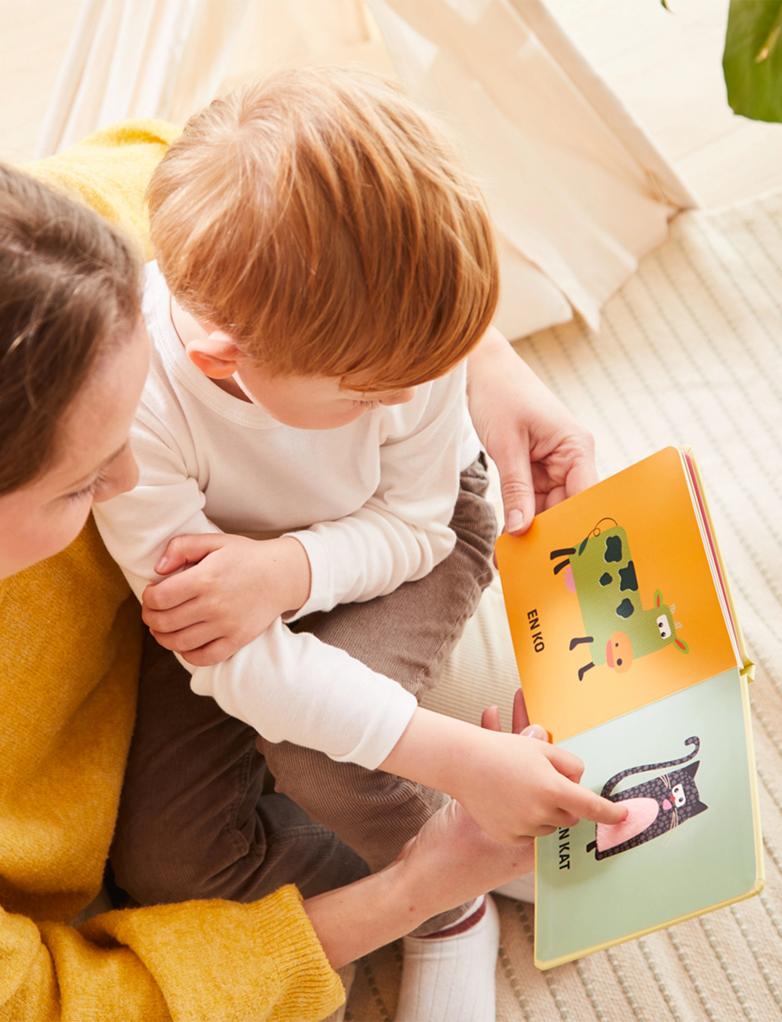 Barbo Toys - Se, Rør og Føl - Wacky Wonders Dyrevenner - DK - livres pour enfants - 1016 - 5