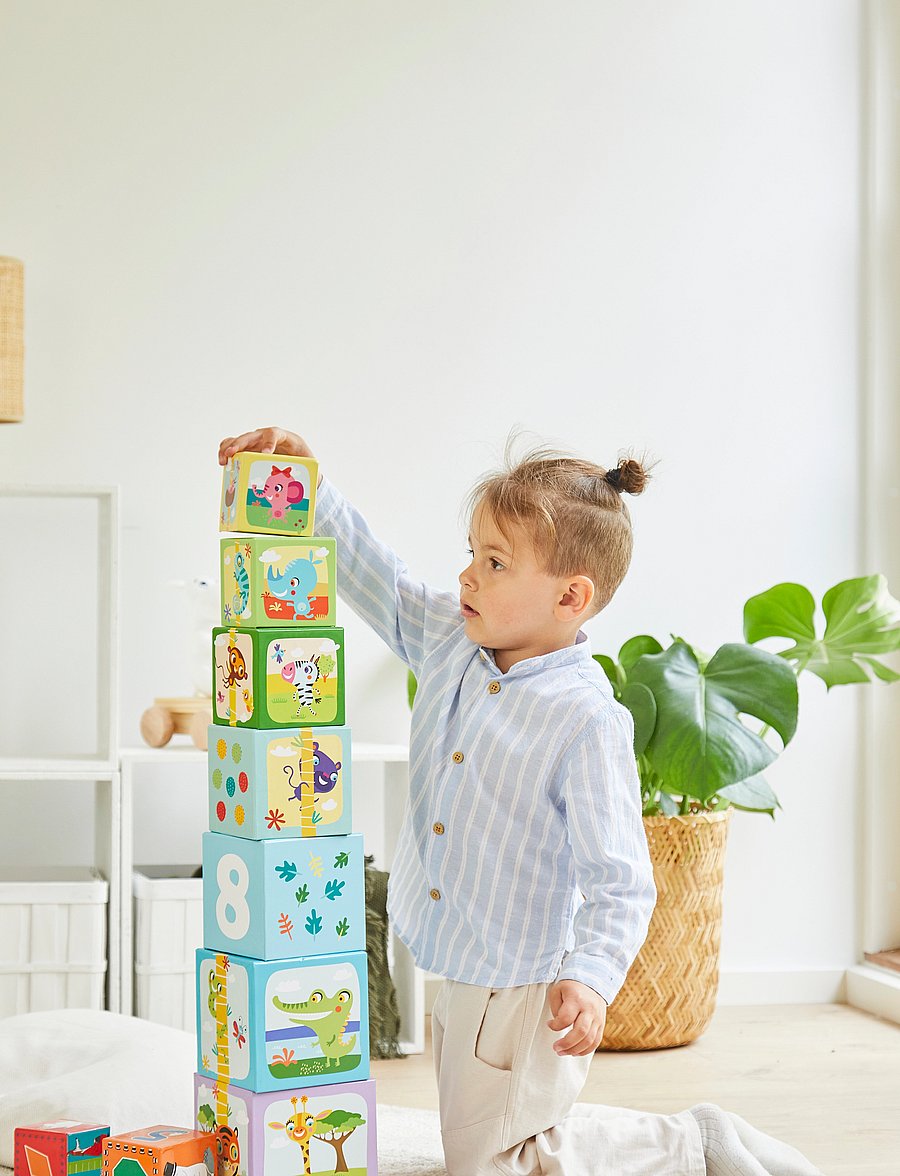 Barbo Toys - Little Bright Ones - 10 Stacking Cubes - Safari - torniklotsid - multiple color - 5