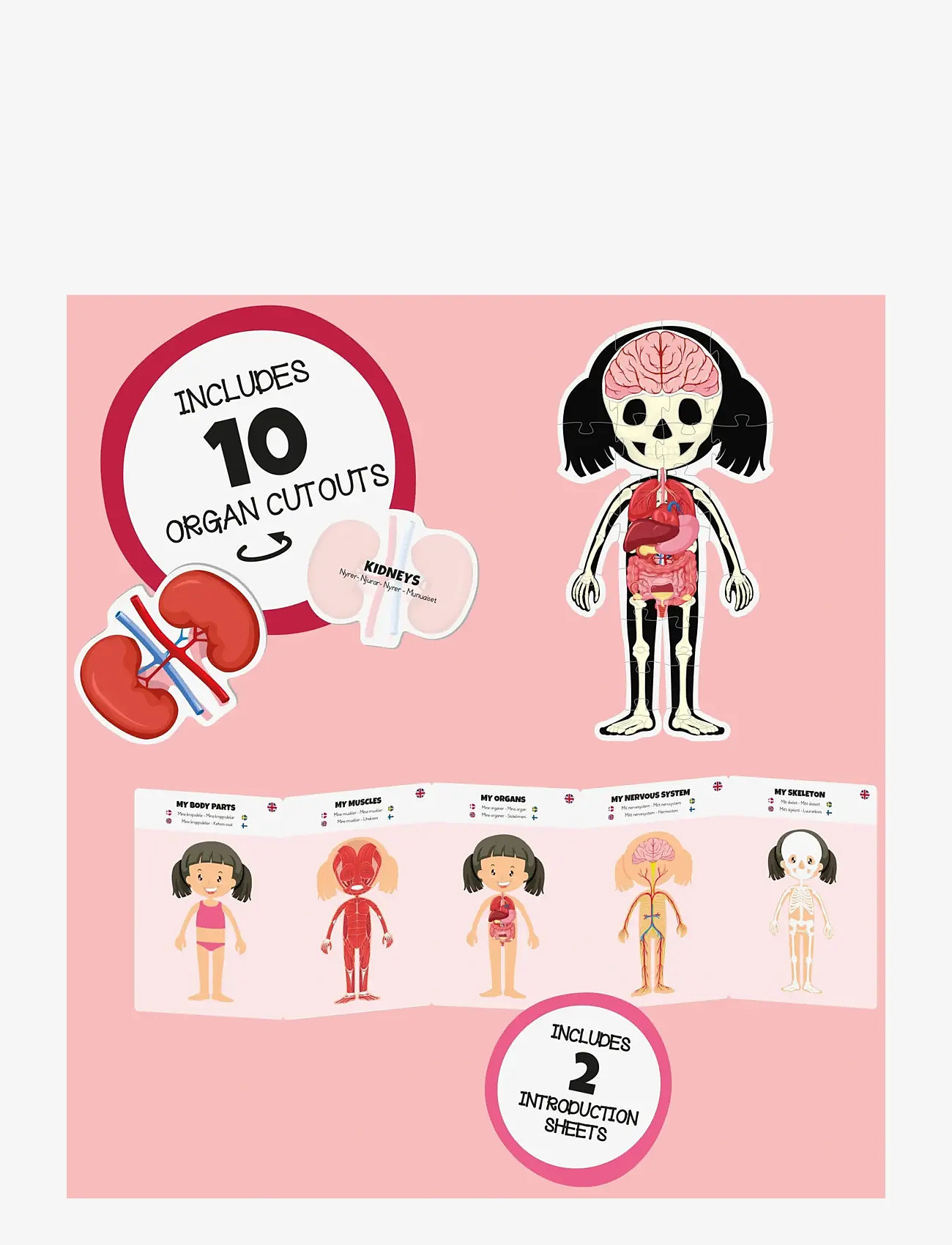 Barbo Toys - Body Puzzle - Girl - Floor Puzzle - pädagogische spiele - multiple color - 2