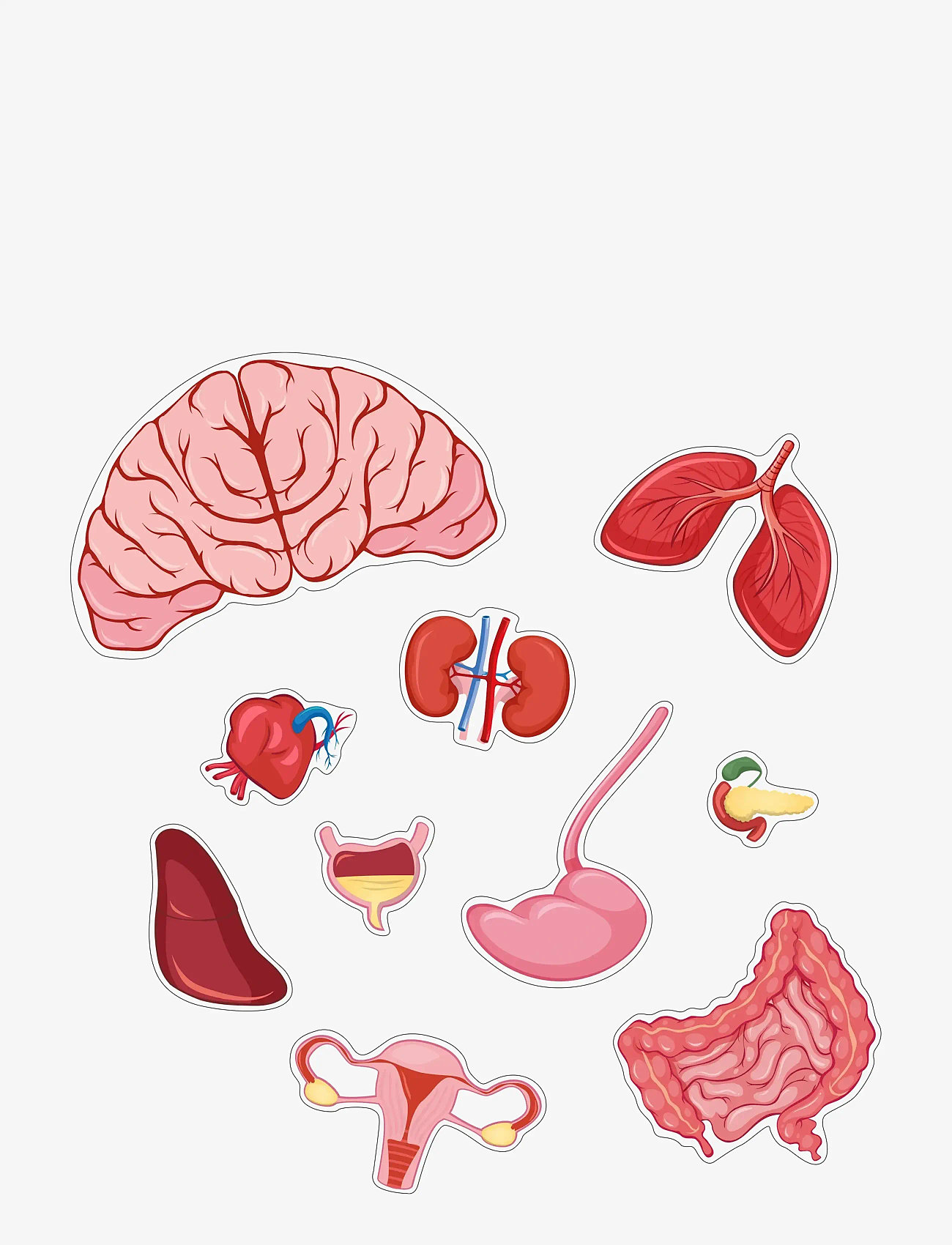 Barbo Toys - Body Puzzle - Girl - Floor Puzzle - pädagogische spiele - multiple color - 3