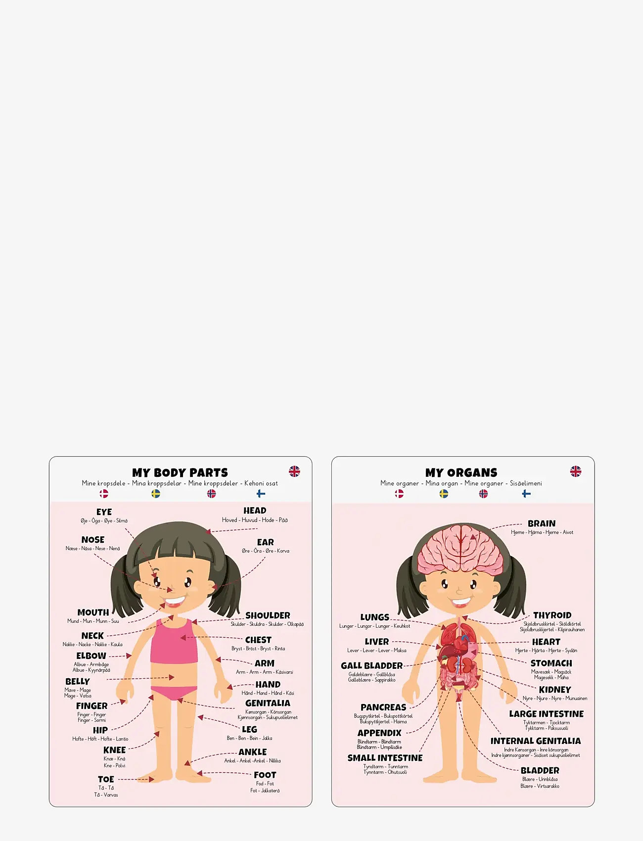 Barbo Toys - Body Puzzle - Girl - Floor Puzzle - pädagogische spiele - multiple color - 4