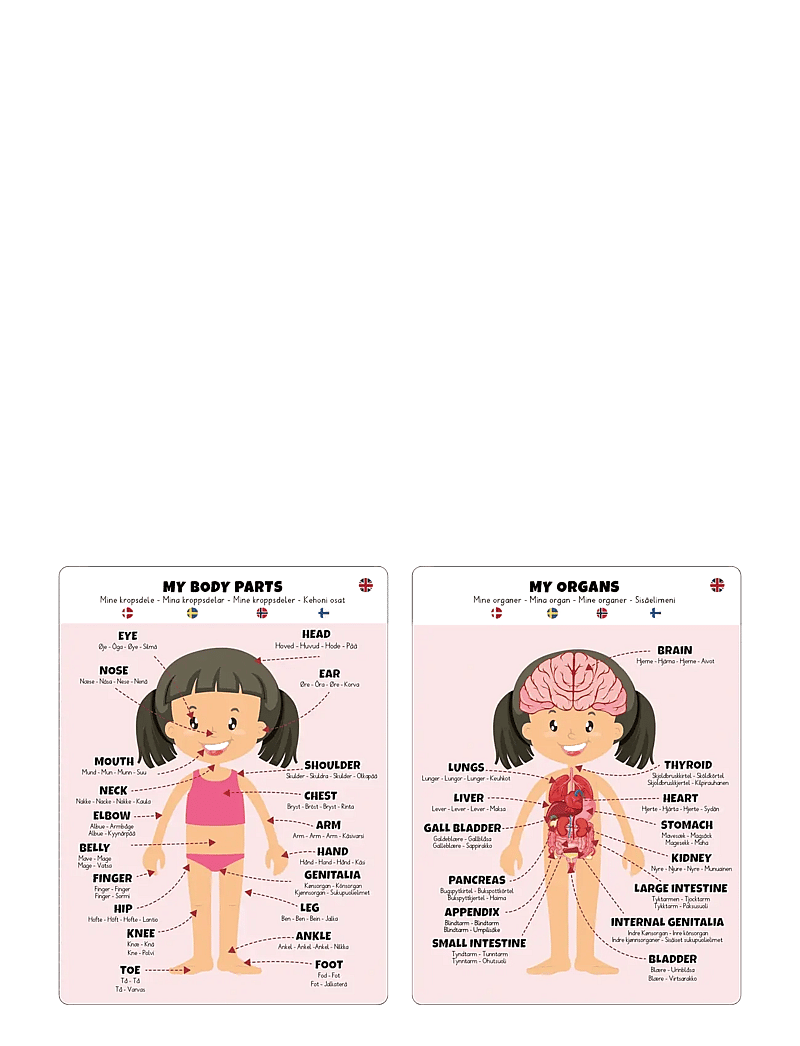 Barbo Toys - Body Puzzle - Girl - Floor Puzzle - pädagogische spiele - multiple color - 4