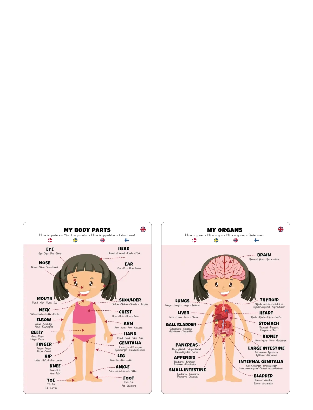 Barbo Toys - Body Puzzle - Girl - Floor Puzzle - Õpetlikud mängud - multiple color - 4