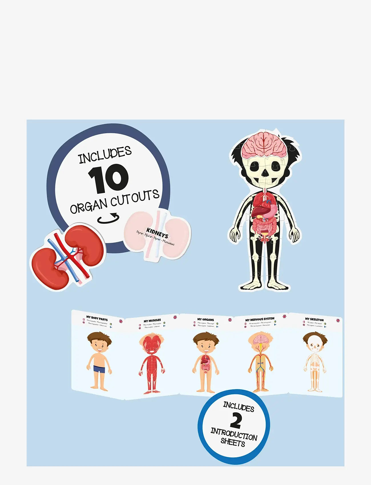 Barbo Toys - Body Puzzle - Boy - pädagogische spiele - multiple color - 2