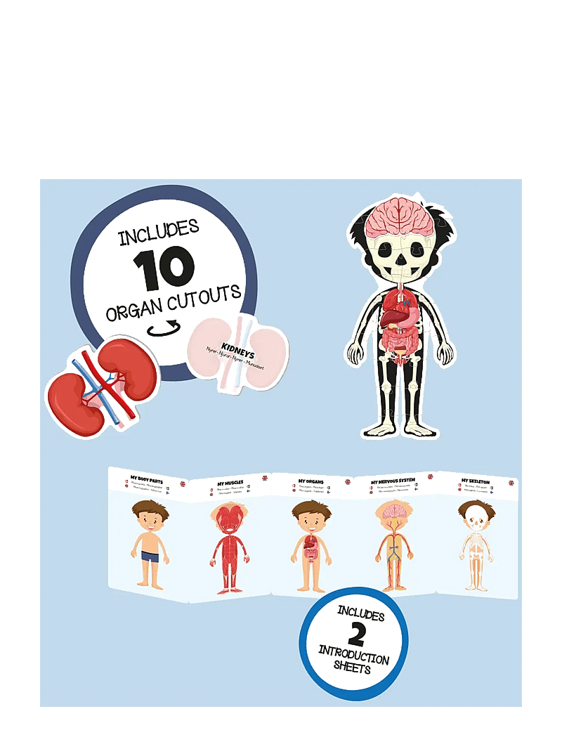 Barbo Toys - Body Puzzle - Boy - pädagogische spiele - multiple color - 2