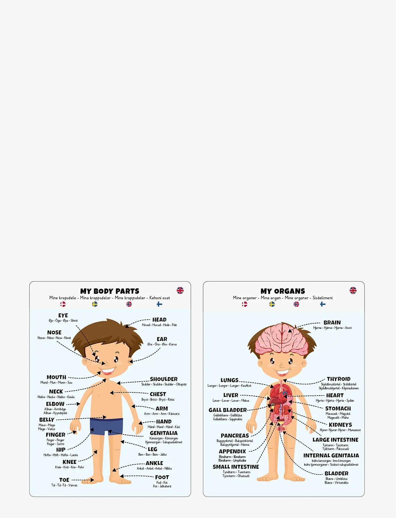 Barbo Toys - Body Puzzle - Boy - pädagogische spiele - multiple color - 4