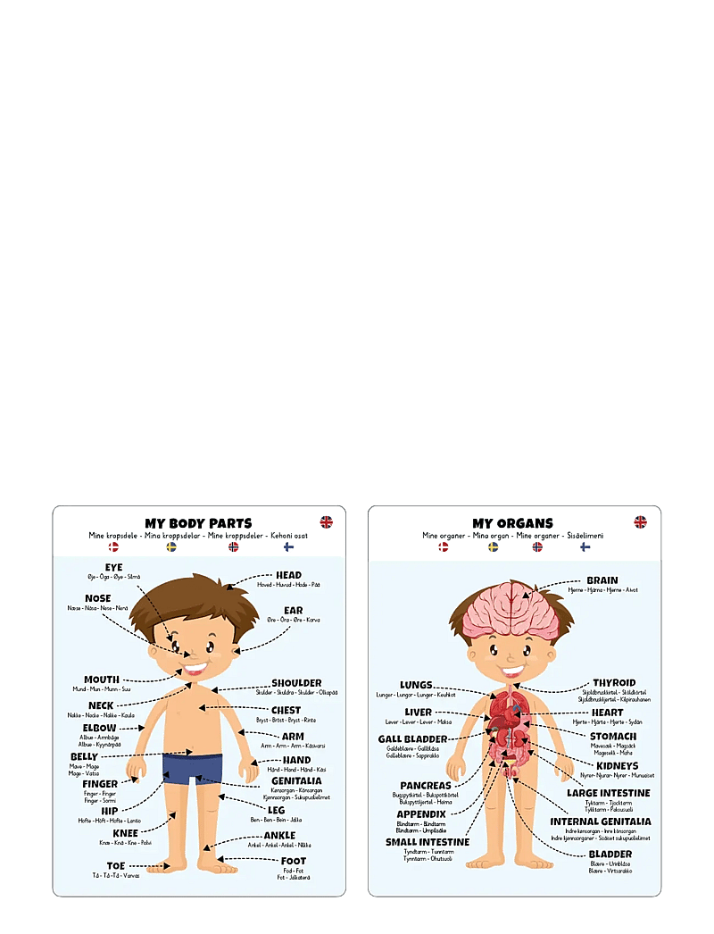 Barbo Toys - Body Puzzle - Boy - pädagogische spiele - multiple color - 4