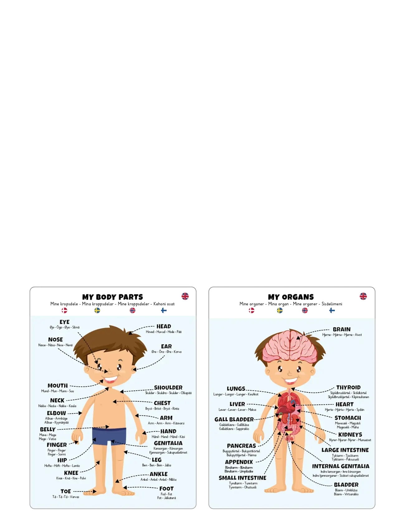 Barbo Toys - Body Puzzle - Boy - pädagogische spiele - multiple color - 4