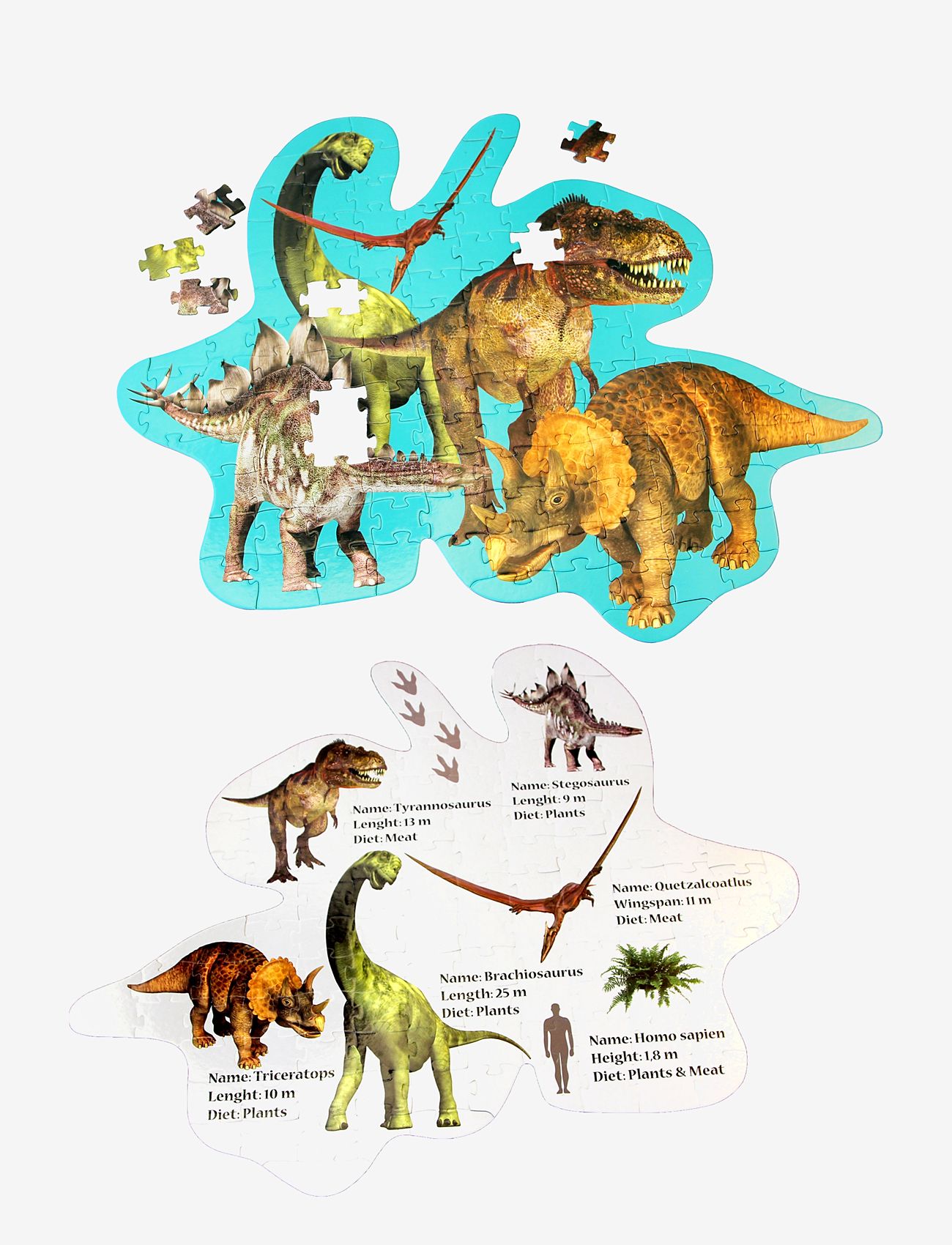 Barbo Toys - Floor Puzzle Dino - puzzle - multiple color - 3