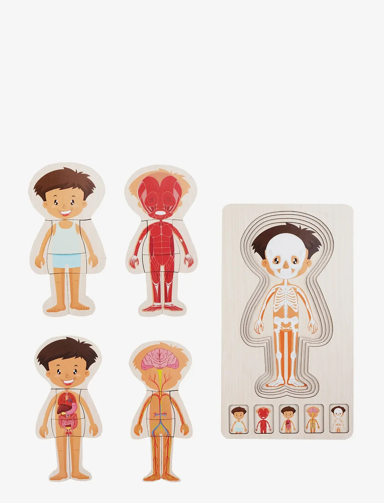 Barbo Toys - Wooden Layer Body Puzzle - Boy - Þroskapúsl - blue - 2
