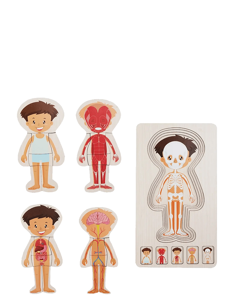 Barbo Toys - Wooden Layer Body Puzzle - Boy - Þroskapúsl - blue - 2