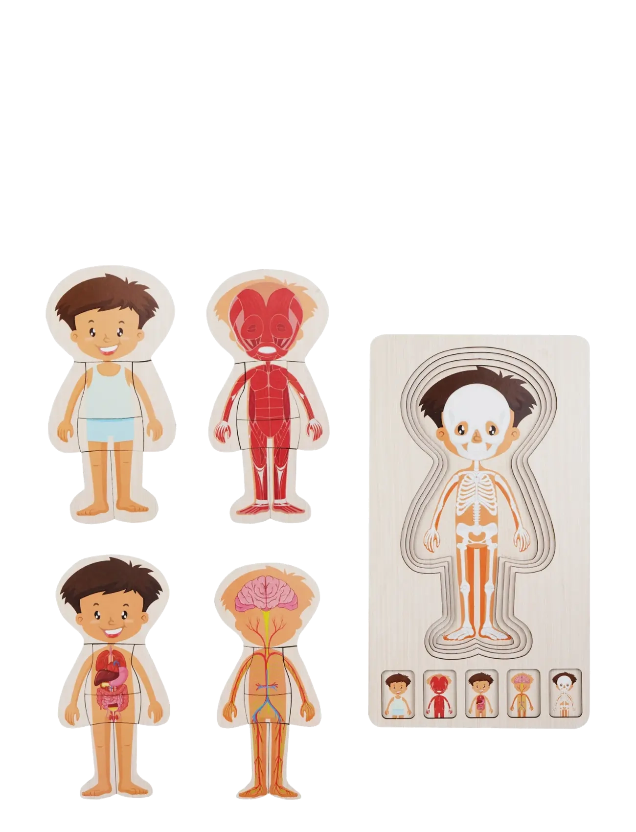 Barbo Toys - Wooden Layer Body Puzzle - Boy - Þroskapúsl - blue - 2