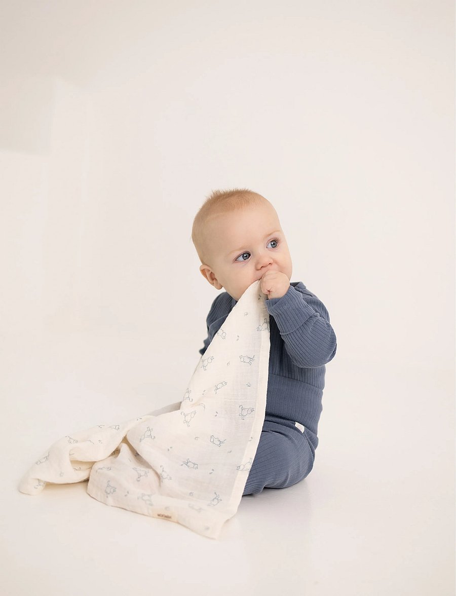 MOOMIN - Moomin Muslin Baby Cloth 2-pack - Blue - 60x60cm - plaids en mousseline - blue - 0