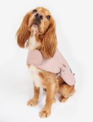 Barbour - Barbour Quilted Dog Coat - koiran vaatteet - pink - 3