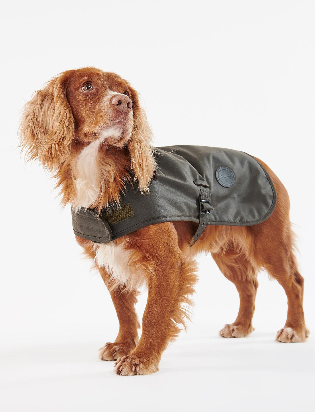 Barbour Shine Wax Dog Coat
