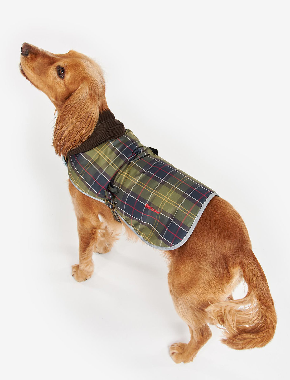 Barbour waterproof sales tartan dog coat