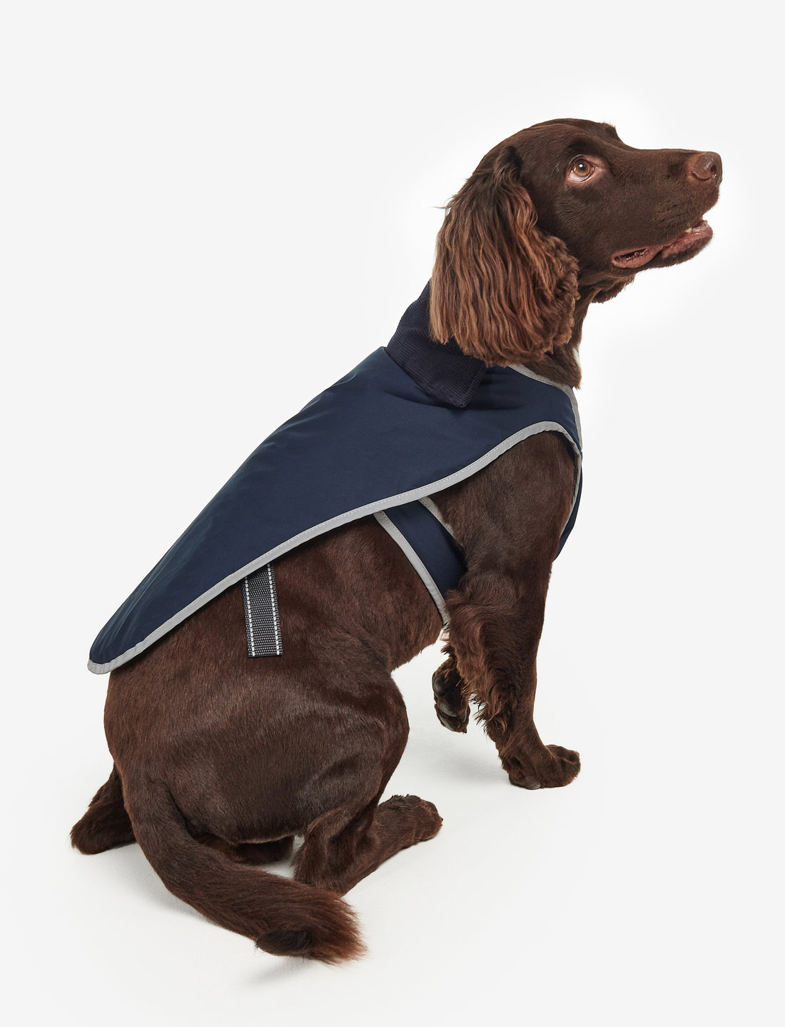 Barbour Barbour Mon Waterproof Dog Coat dog clothes shop at Booztlet