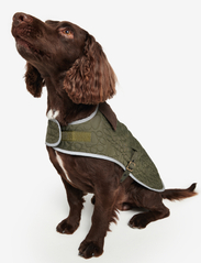 Barbour - Barbour Paw Qui Dog Co - koiran vaatteet - olive - 2