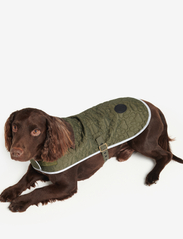 Barbour - Barbour Paw Qui Dog Co - dog clothes - olive - 3