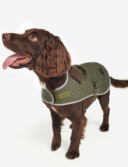 Barbour - Barbour Paw Qui Dog Co - koiran vaatteet - olive - 4