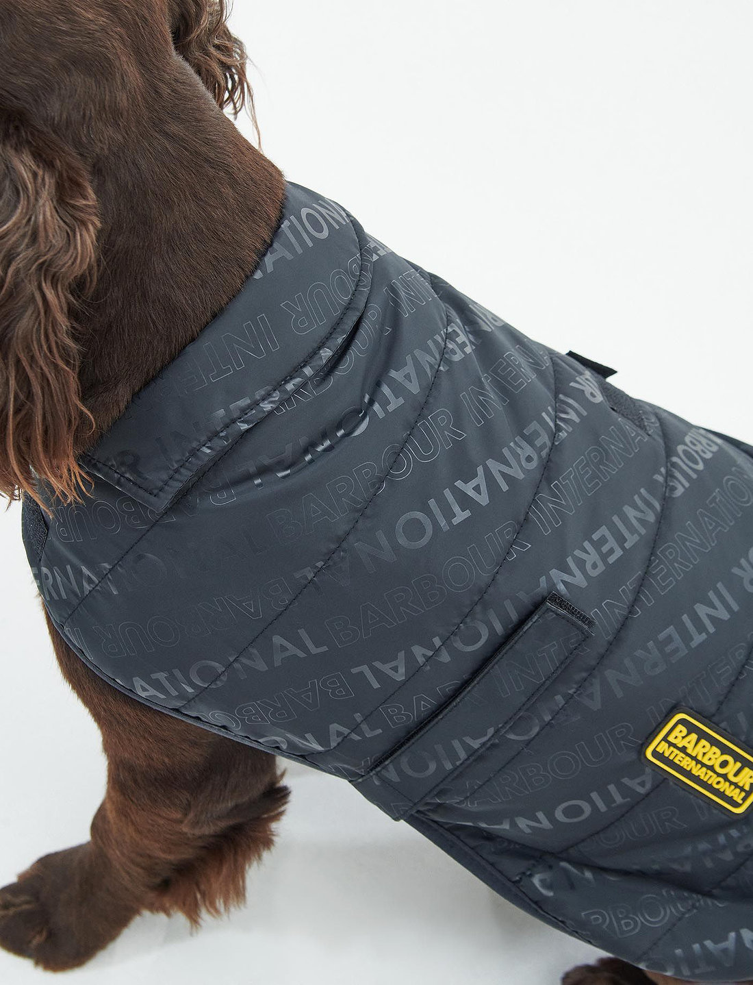B and top m dog coats