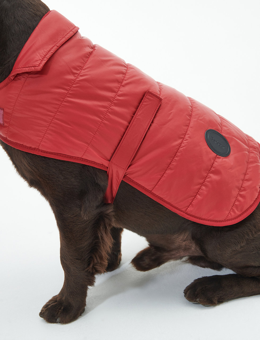 Barbour black quilted dog coat deals