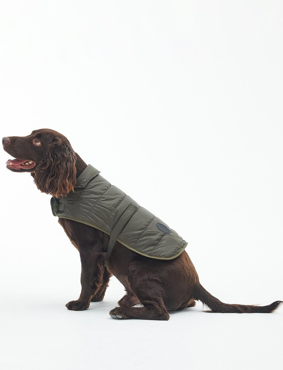 Barbour wax dog coat 2025 olive