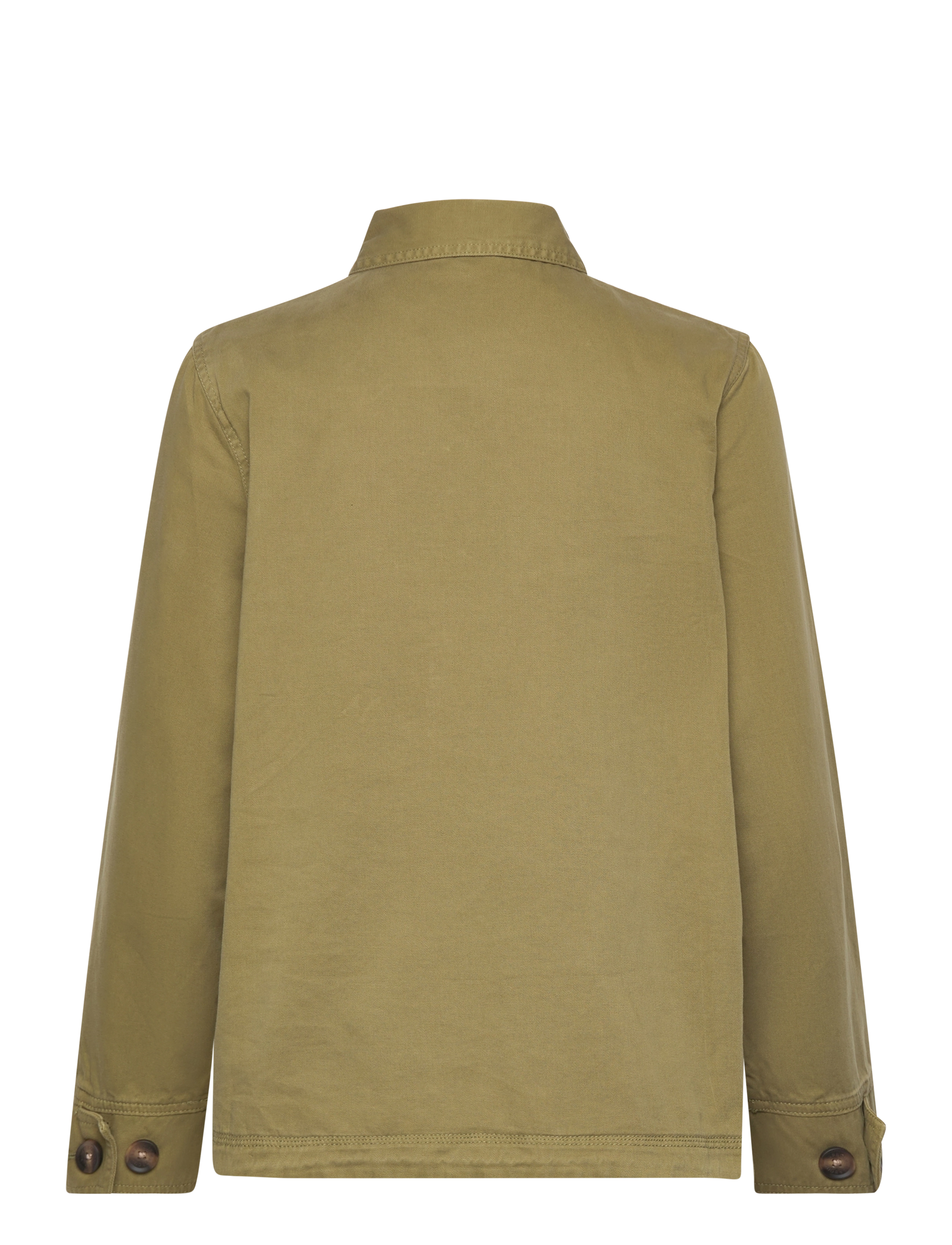 Barbour - Barbour Zale Casual    Lt Peac - olive tree - 1